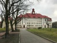 БФУ им. Иммануила Канта институт гуманитарных наук